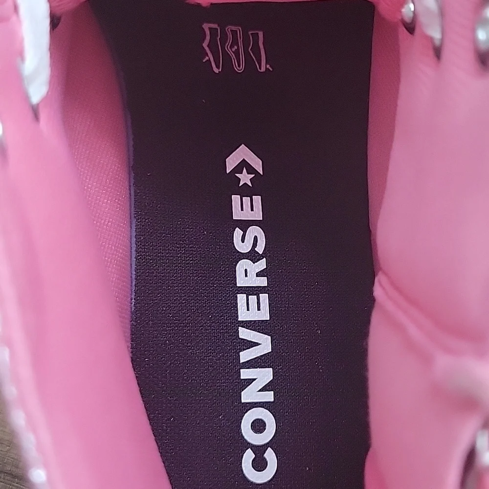 Converse Pink Chuck Taylor High-Tops